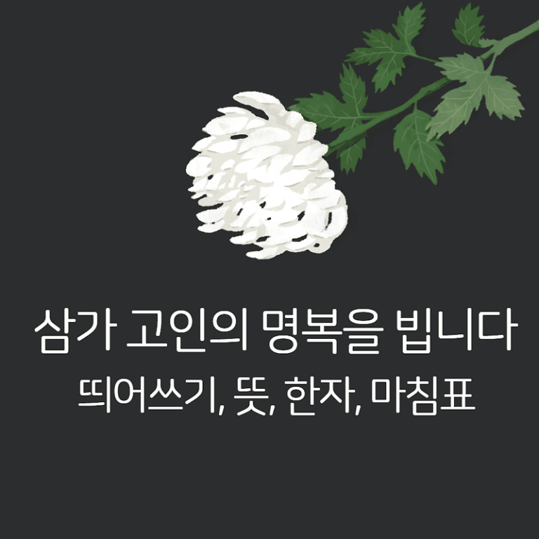 삼가 고인의 명복을 빕니다 띄어쓰기 뜻 한자 마침표 알아보기